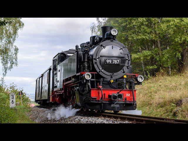 99 787 - oil burning steam locomotive on Zittau Narrow Gauge Railway 2024.09.28