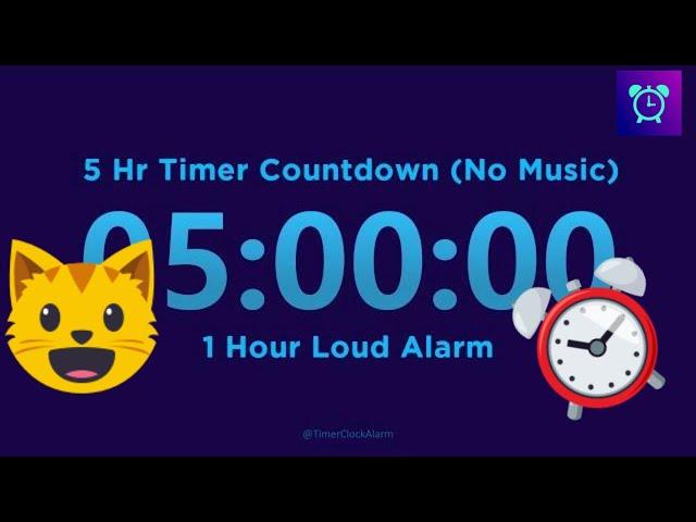 5 Hour Timer Countdown (No Music) + 1 Hour Loud Alarm