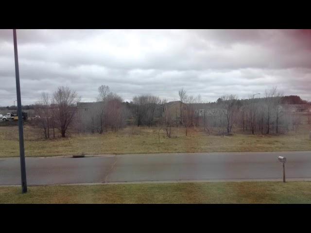 Time-Lapse of People Taking Down Trees