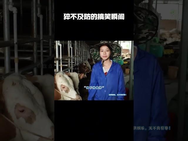 猝不及防的搞笑瞬间
