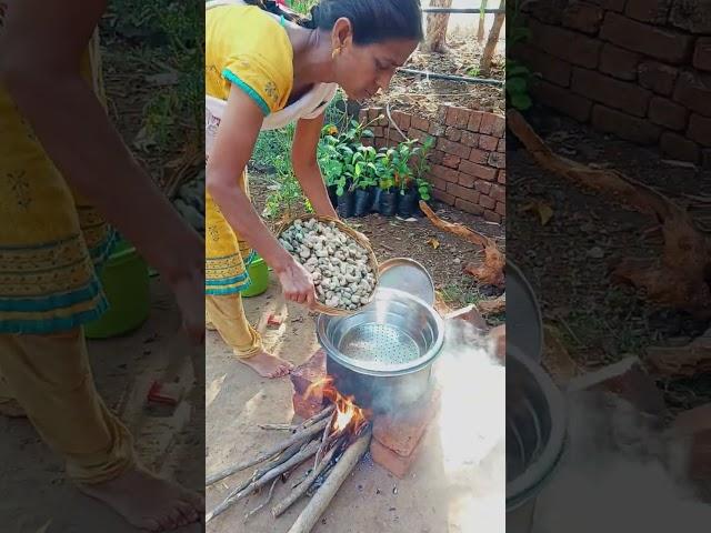 Cashewnut processing from scratch.