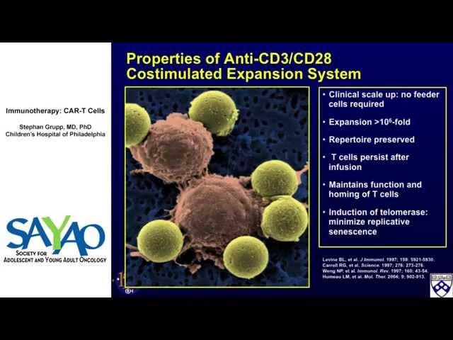 Immunotherapy: CAR-T Cells - Stephan Grupp, MD, PhD