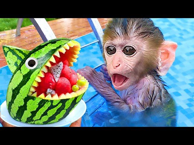 Baby Monkey Chu Chu eats watermelon ice cream with puppies and swims with duckling in the pool