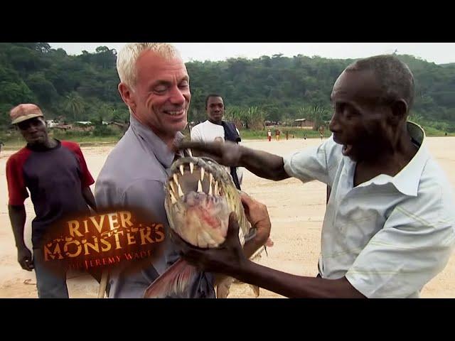 Catching A PRIZED Goliath Tigerfish | TIGERFISH | River Monsters