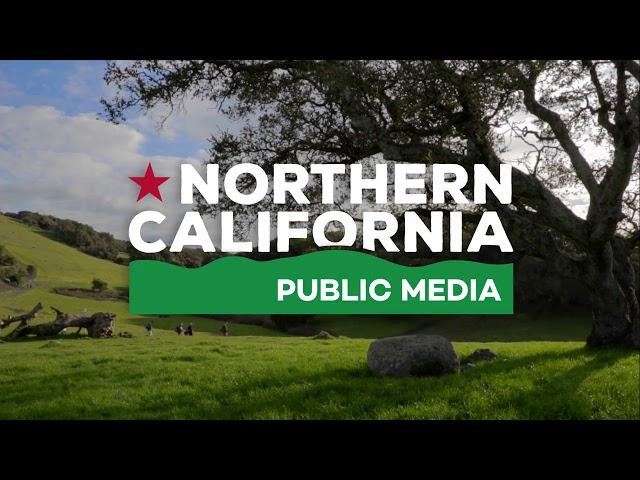 Northern California Public Media ID (2021)