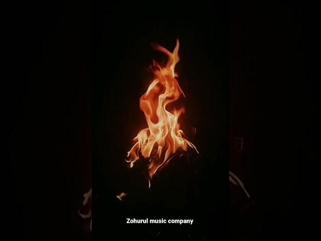 A Bonfire Giving Light From The Darkness Of The Night