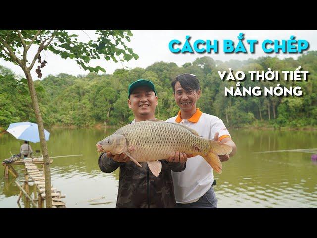 Hướng Dẫn Cách Câu Cá Chép Trong Môi Trường Tự Nhiên, Bán Tự Nhiên | VIETNAM FISHING