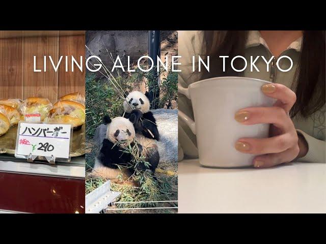 Eng) living alone in Tokyo vlog - Solo picnic at Ueno park , Exploring here and there in Tokyo