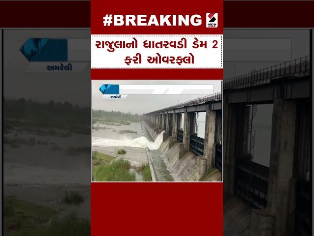 Rajula News | રાજુલાનો ધાતરવડી ડેમ 2 ફરી ઓવરફ્લો | Monsoon | Dam Overflow