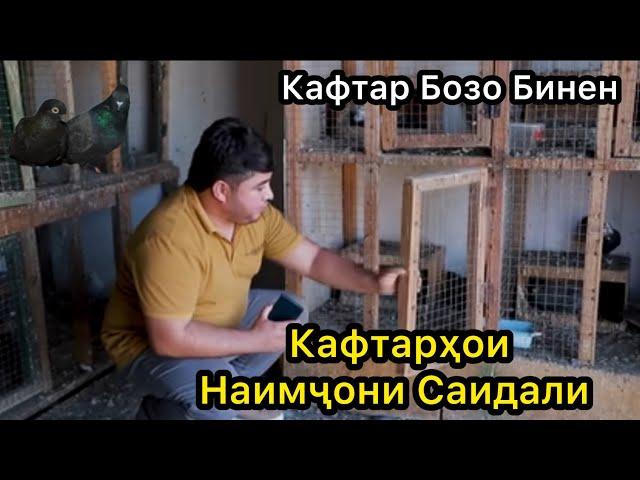 Бинен Кафтарои Наимчони Саидали.