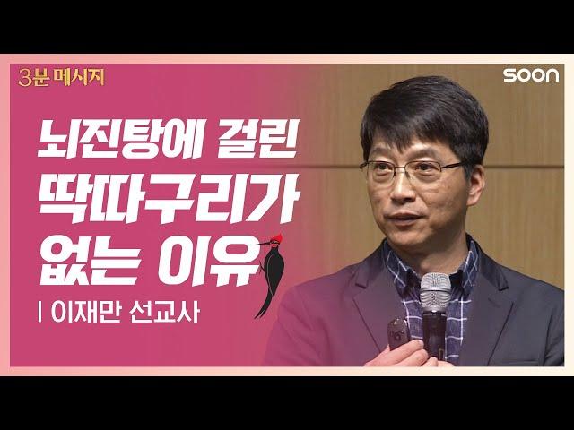 창조주 하나님 | 이재만 선교사 전능한데 좋은 분? 바로, 예수님! | CGNTV SOON 3분 메시지