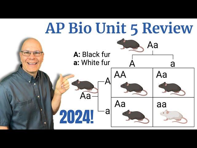 Heredity, Meiosis and Genetics: 1 Hour Explanation of AP Bio Unit 5