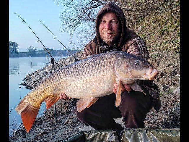 Karpfenangeln am Wallerfluss/brutale Fangeserie