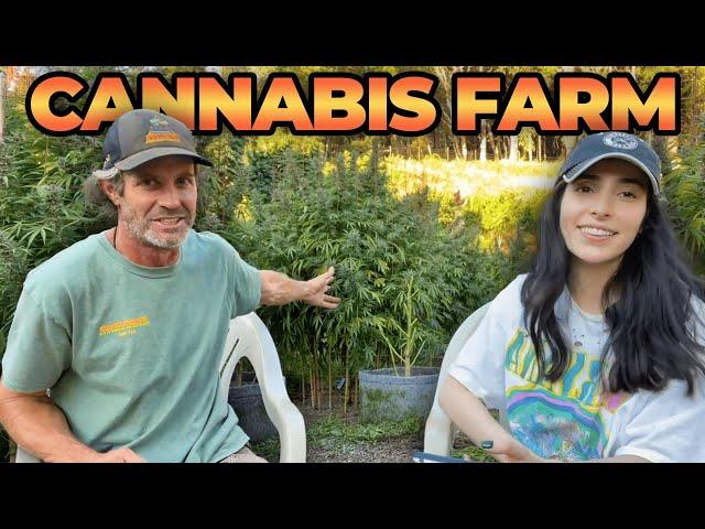 I Visited a Cannabis Farm!