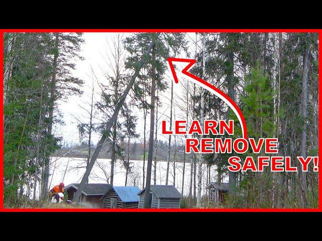 HOW TO CUT A WINDFALL DOWN SAFELY