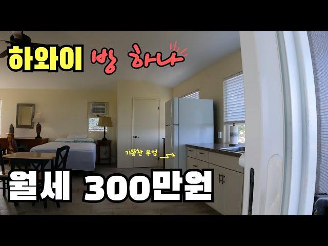 하와이 시골 빅아일랜드 방하나 살 떨리는 월세 300만원 수준 | 미국에서 집구하는 방법