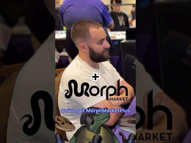 MorphMarket VS Competition! #ballpython #reptiles #podcast