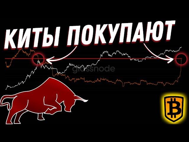 ВНИМАНИЕ! Мы не видели подобного 7 ЛЕТ! | Биткоин и криптовалюта | Анализ 19.12.2024