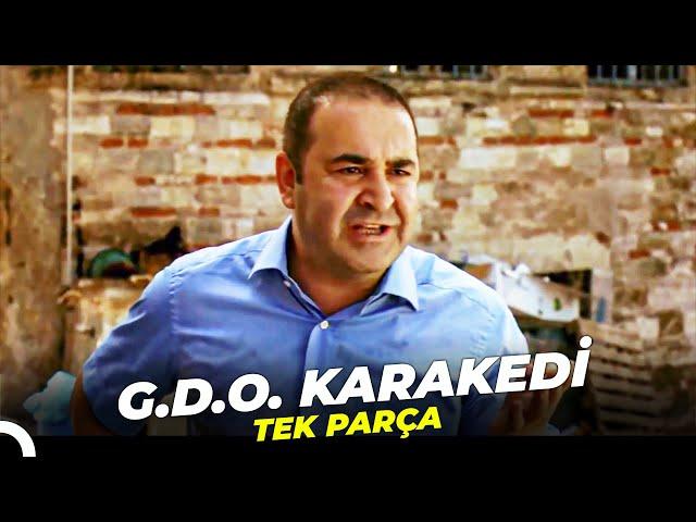 G.D.O. Karakedi | Şafak Sezer Eski Türk Filmi Full İzle (4K)