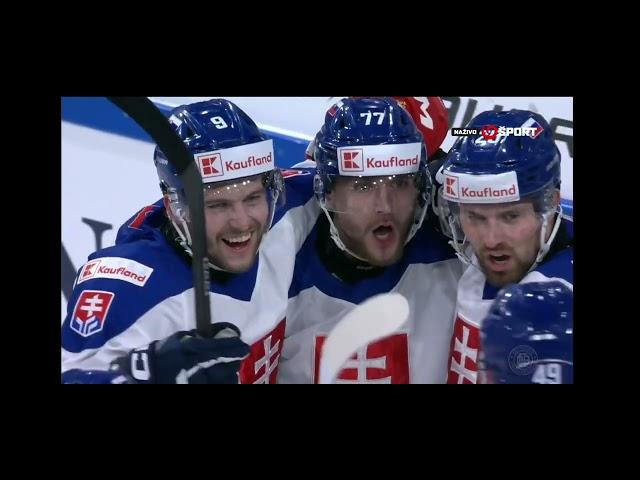 Nemecky Pohar Nemecko vs Slovensko zaznam