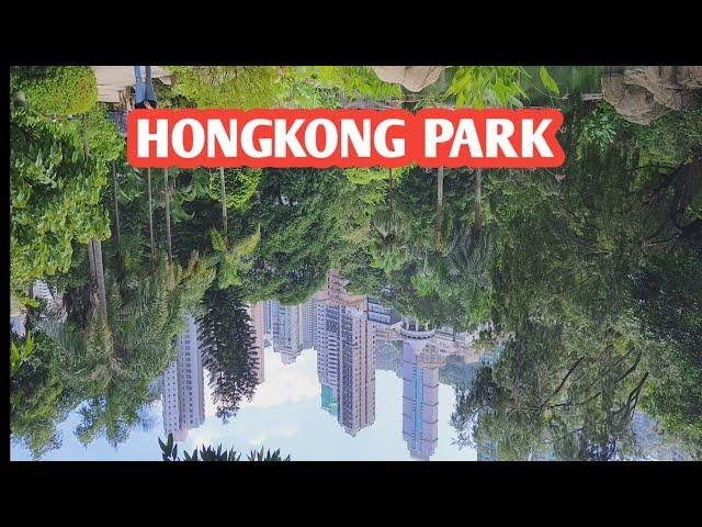 MENAKJUBKAN  TEMPAT WISATA GRATIS ADMIRALTY PARK ‼️intip suasana keindahan Alam di Sore Hari