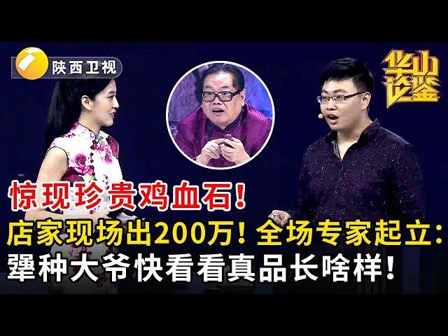 【超清版】惊现珍贵鸡血石！店家现场出200万！全场专家起立：犟种大爷快看看真品长啥样！#鉴宝 #华山论鉴