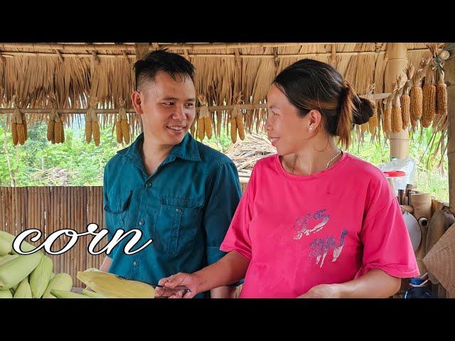 Daily life in a rural Vietnamese countryside: Harvesting and processing corn from the farm