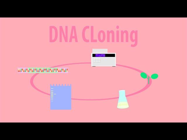 DNA Cloning - Animation of Cloning GFP into a Plant Introduction HD