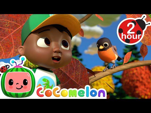 Cody's Fall Song  CoComelon - It's Cody Time | Nursery Rhymes and Kids Songs | After School Club