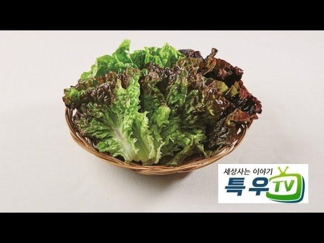 ‍#특우의 세상사는 이야기 - 상추 제작 : #특우TV