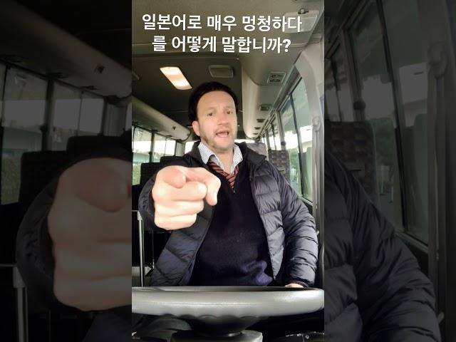 일본어로 매우 멍청하다를 어떻게 말합니까?