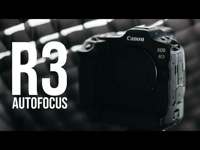 mastering autofocus on the Canon R3 (in depth walkthrough)