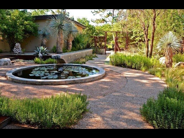 Goodbye Lawn: Hello to Wildlife & Serene Courtyard Living | Central Texas Gardener