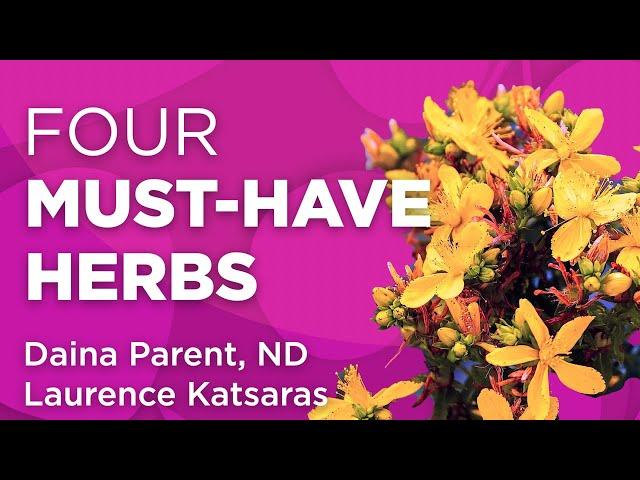 4 Must-Have Herbs for your Practice | WholisticMatters Podcast | Special Series: Medicinal Herbs