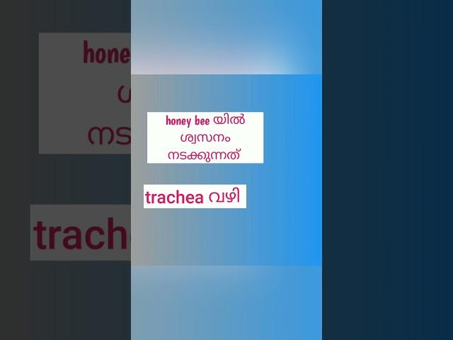 hsa natural science topic wise classes/ mcq/ biology for psc/ honey bee /trachea/ insect/arthropoda