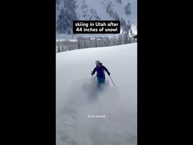 how does @CarolineGleich always find all the best freshies?? #womenssports #skiing #snow #mountains