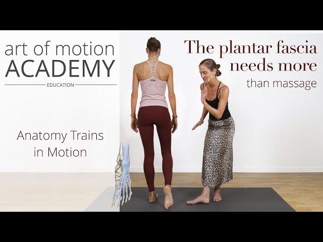 The Plantar Fascia Needs More Than Massage | Anatomy Trains in Motion