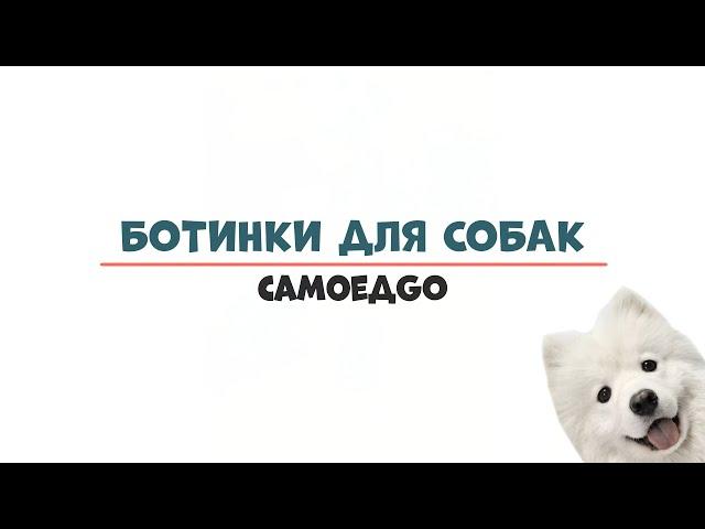 БОТИНКИ НА ПОДОШВЕ для собак, противоскользящая обувь для собак на липучках