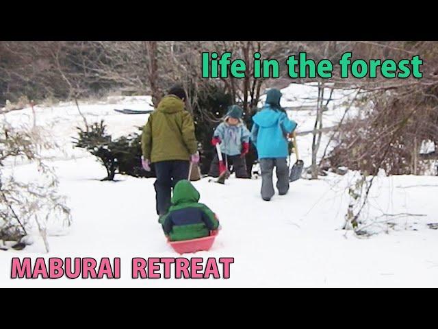 Self-Sufficiency, Forest Life, Rural Japan, Harvesting and preserving winter vegetables Tree Felling