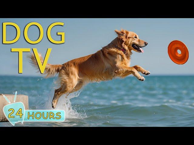 DOG TV: Entertainment Video Fun for Bored Dogs When Home Alone - Best Relaxing Music for Dogs