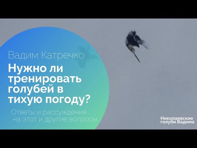 Нужно ли тренировать голубей в тихую погоду? Ответы и рассуждения на этот и другие вопросы.