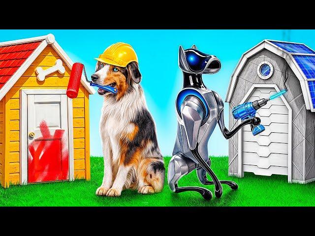 We Built a House For Pets | Funny Pet Pranks by Multi DO Smile