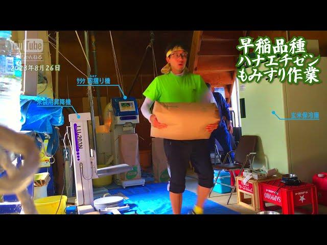 【米作り】早稲品種ハナエチゼン籾摺り作業