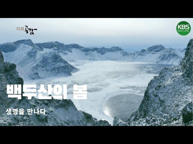 백두산의 봄, 원시의 생명을 만나다  | Spring of mount baek-du