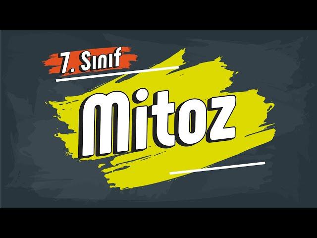 Mitoz | 7. Sınıf Fen Bilimleri #2025