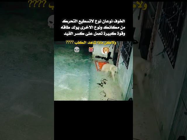 الخوف  #تعبير عن الخوف  #انواع الخوف #خوف الكلاب #تصاميم #حالات_واتس #عبارات # معلومات
