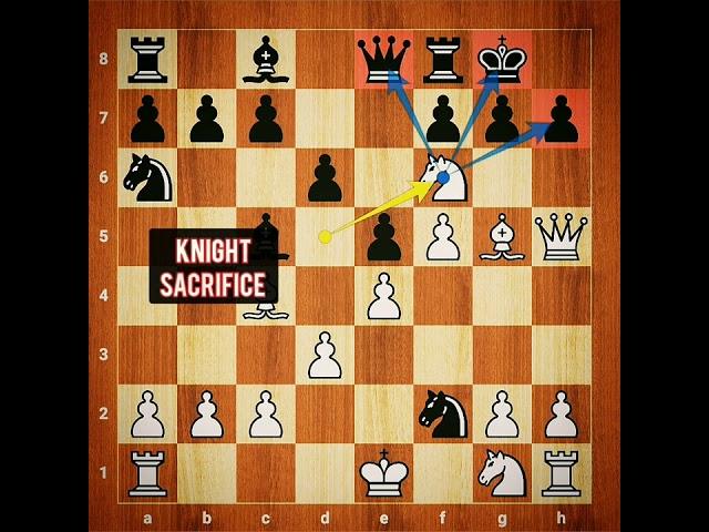 Quick Checkmate with Bishop's Opening  Chess trap for white