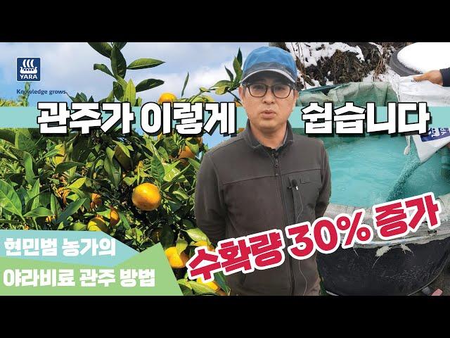 제주 감귤재배 선도농가의 야라 비료 관주 방법은? | 농사 100단