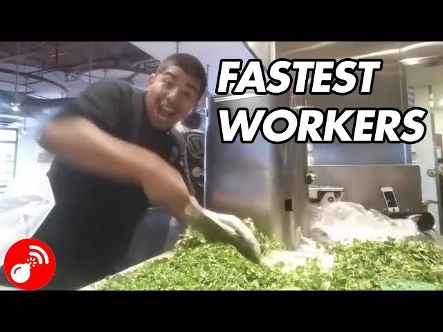 Fastest Workers Ever 2018