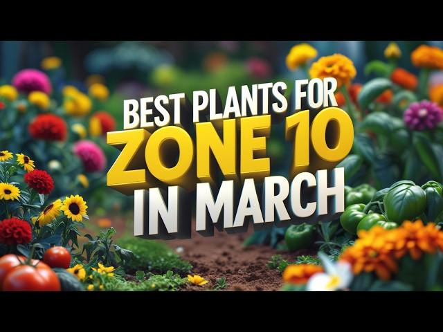 What to Plant in March Zone 10: 7 Easy Plants for a Stunning Spring Garden!